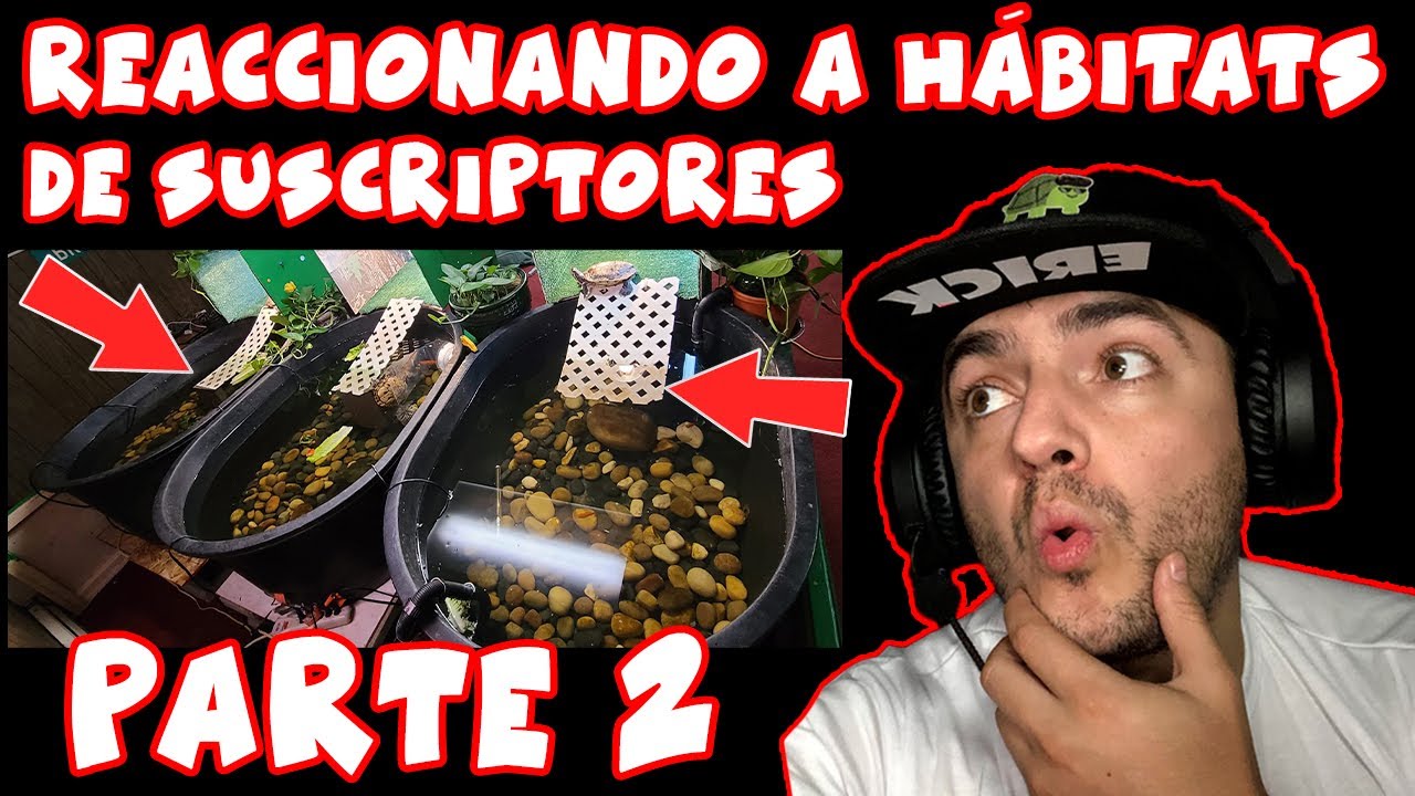 CALIFICAMOS HÁBITATS PARTE 2 ....