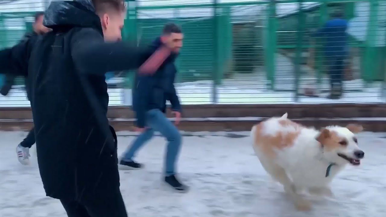 Доброе дело