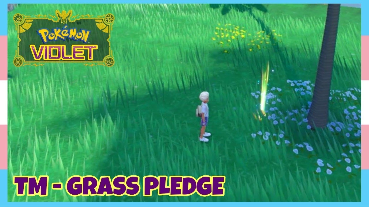 Where To Find TM Grass Pledge In Pokemon Scarlet & Violet | Location Quick Guide