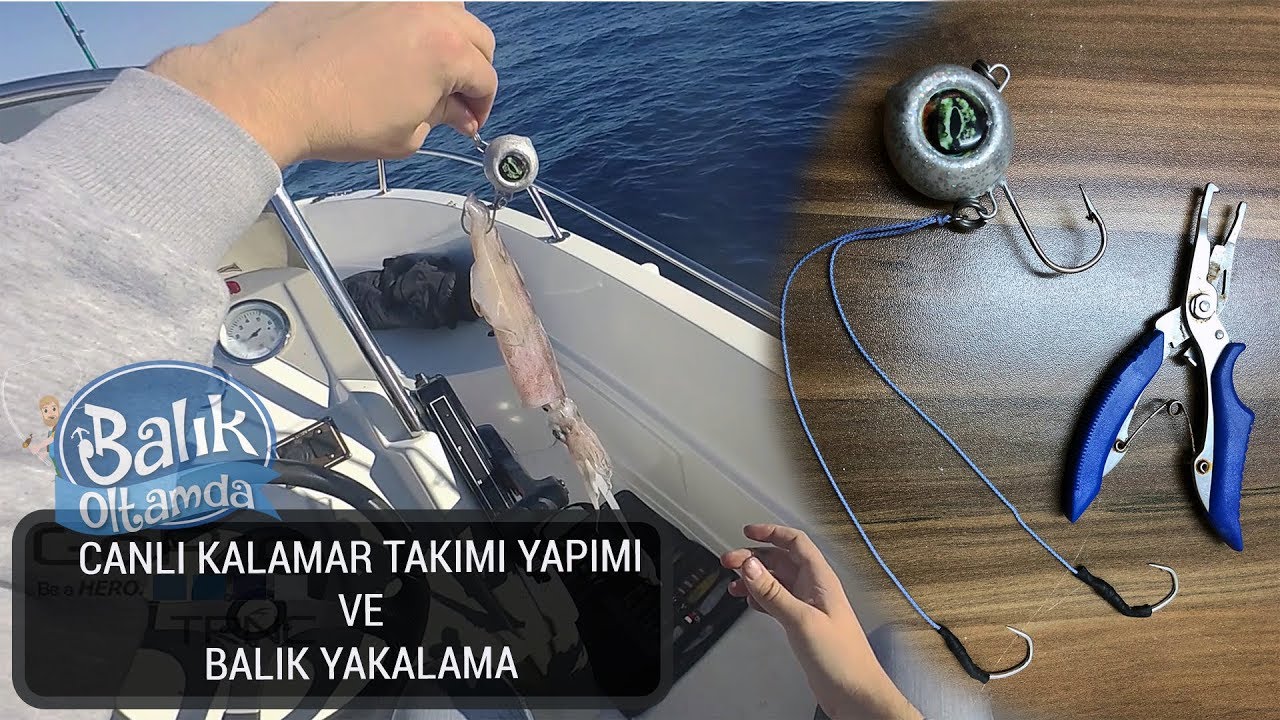 Ölü - Canlı kalamar takımı ve balık avı nasıl yapılır?