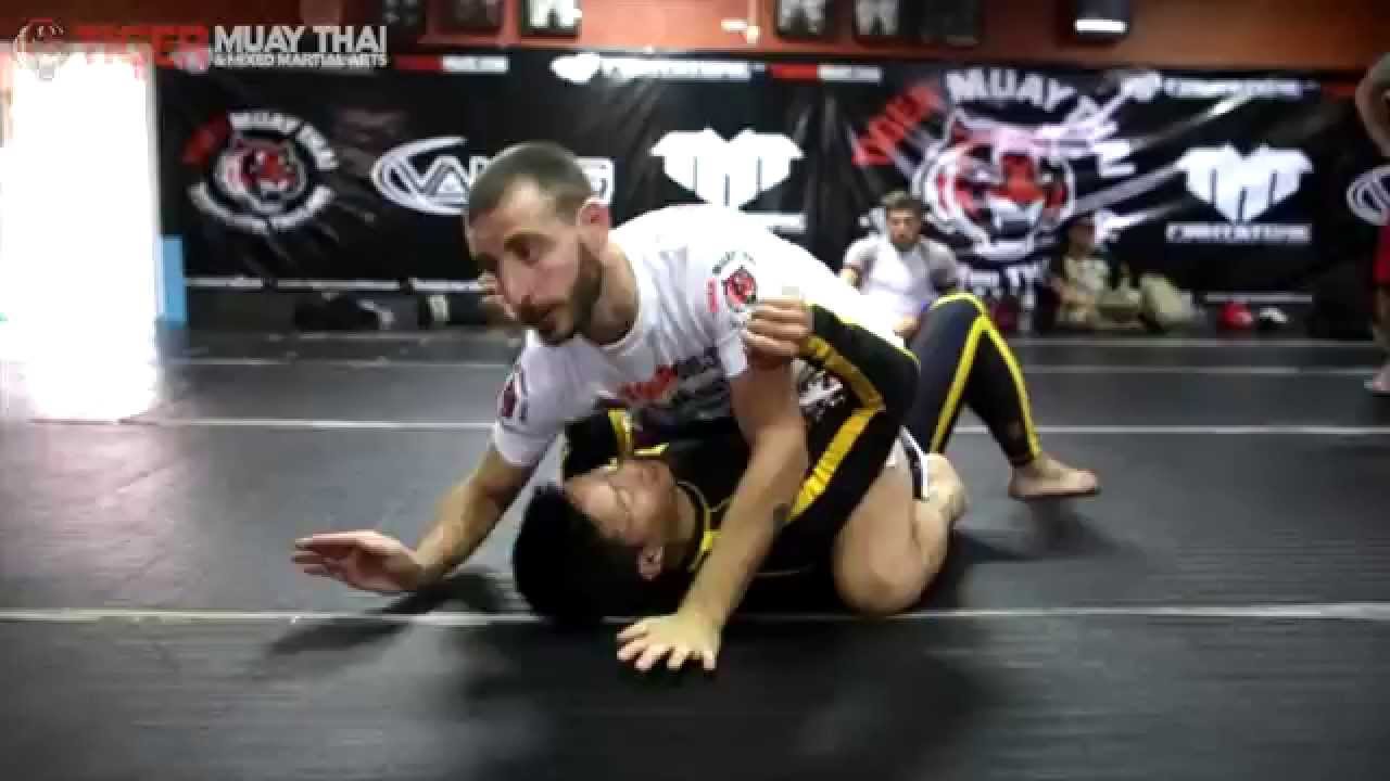 Brazilian Jiu-Jitsu Technique