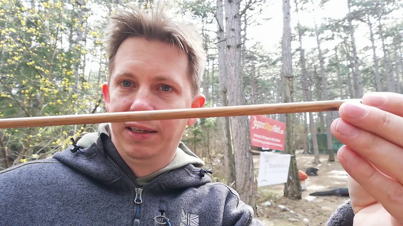 Protectorringe am Pfeil - Sinnvoll oder nicht?