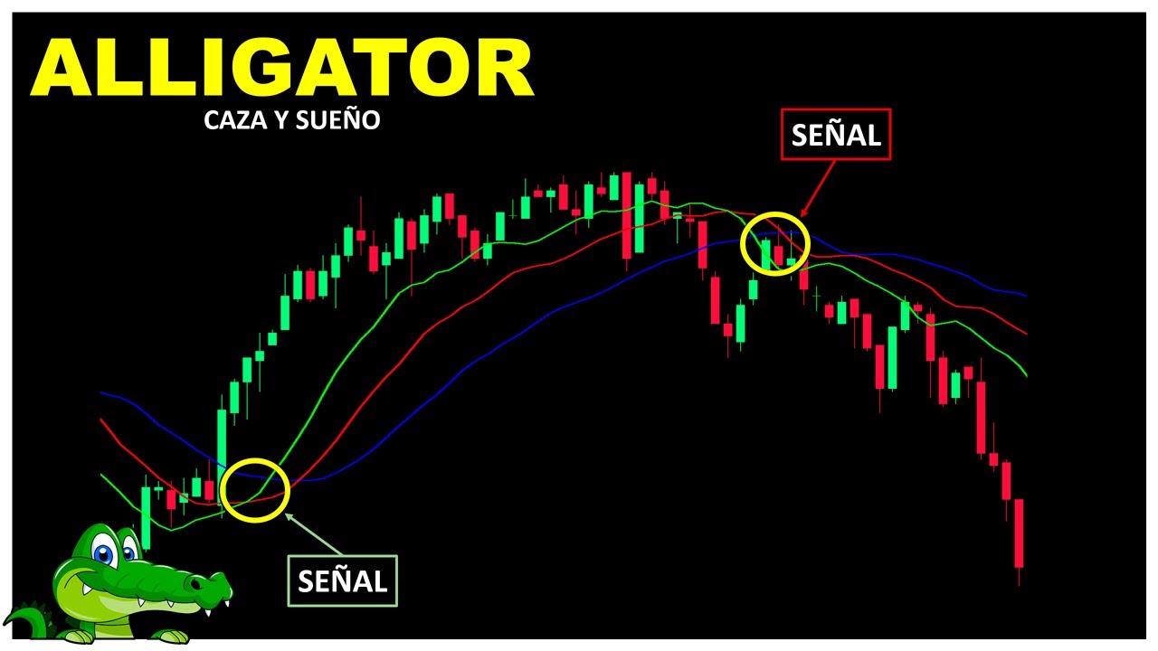 ALLIGATOR este indicador te muestra las TENDENCIAS || + Acción del Precio | Binary Teach