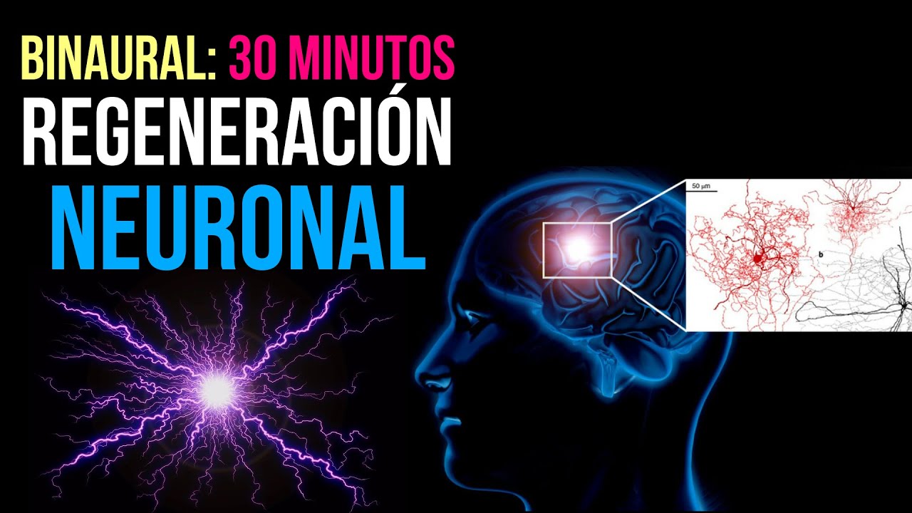 🧠 🎧 30 MIN DE RELAJACIÓN CEREBRAL | 🔋 RECUPERA TU ENERGÍA| MEDITACIÓN | BINAURAL BEATS |ONDAS THETA