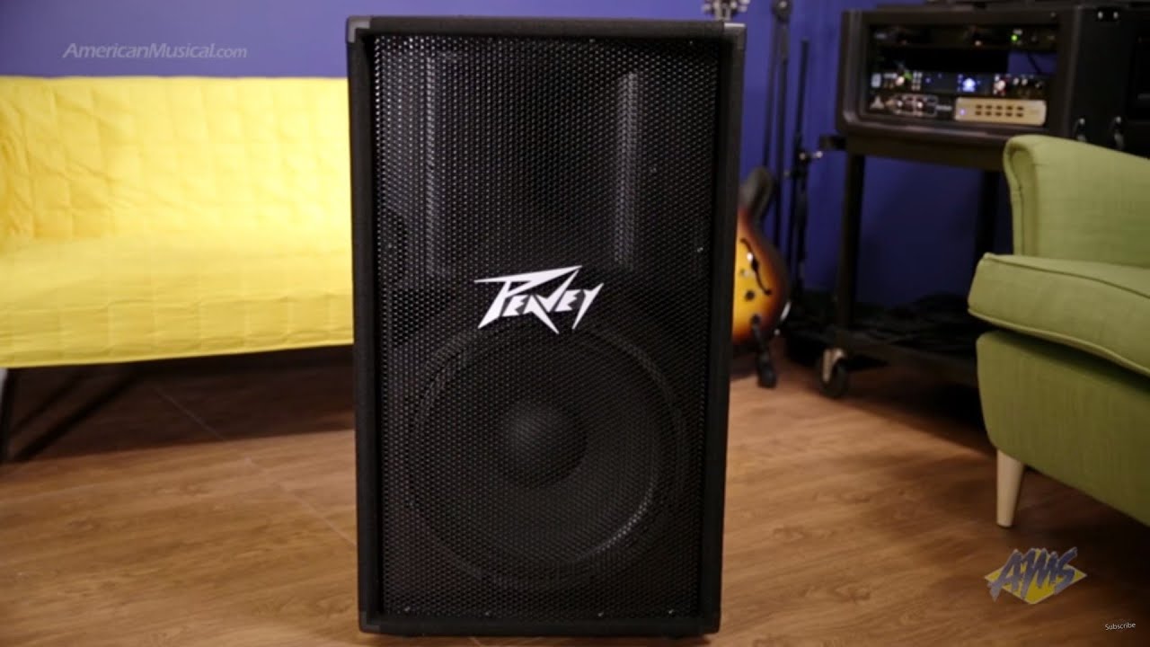 Peavey PV115 PA Speaker - Peavey PV115