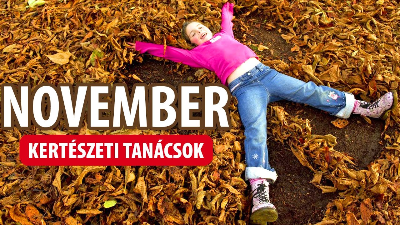 Novemberi kerti munk&aacute;k - kert&eacute;szeti tan&aacute;csok!