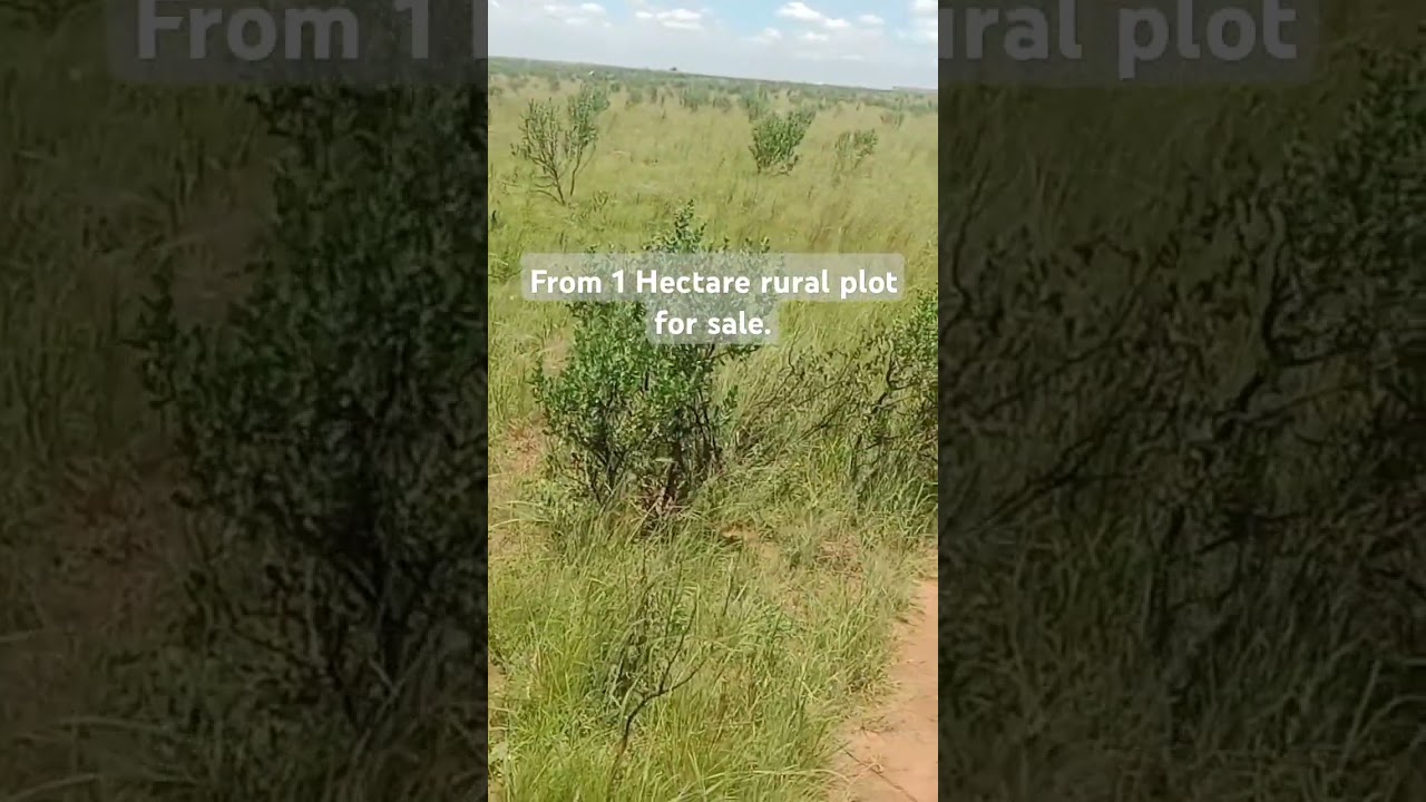 From 1 hectare rural plot for sale in Empumelelweni Kwamhlanga.