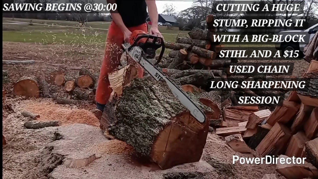 Cutting a large stump and ripping it