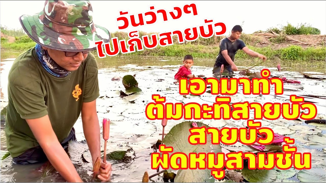 ต้มกะทิสายบัวปลาทู ผัดสายบัวหมูสามชั้น กับข้าวบ้านๆรสชาติอร่อย | สไตล์นายแทน