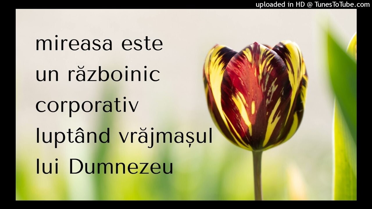 mireasa este un războinic corporativ luptând vrăjmașul lui Dumnezeu