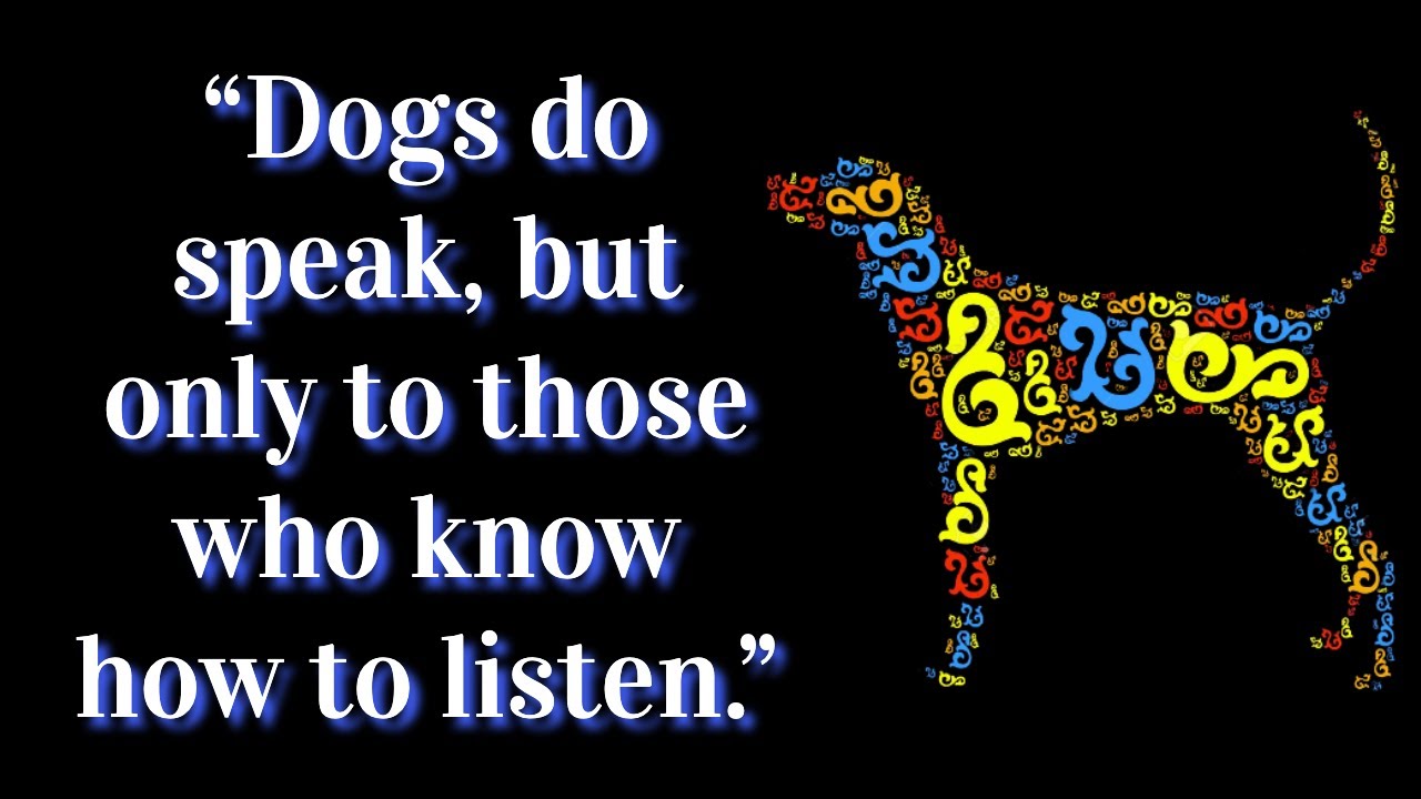 10 Best Quotes about Dogs 🐶 || 💙 For Dog Lovers