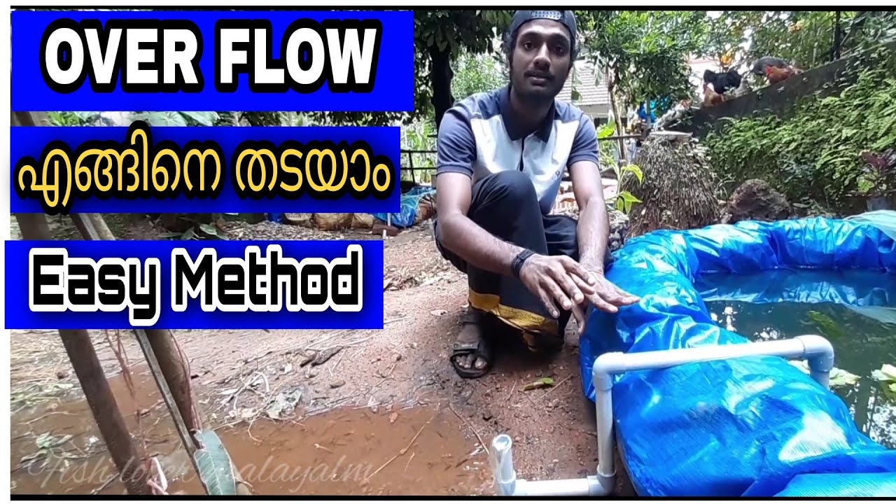 ഇനി മഴപെയ്താലും fish tank നിറഞ്ഞു പോകില്ല ,,,| How to make Overflow at home | malayalam video |