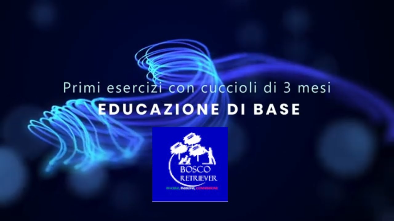 inizia a educare il cucciolo di cane da subito!