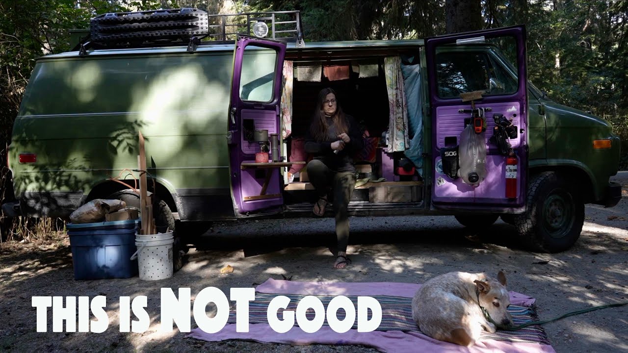 THE EMERGENCY VET || Nomadic Life on Vancouver Island with a DOG