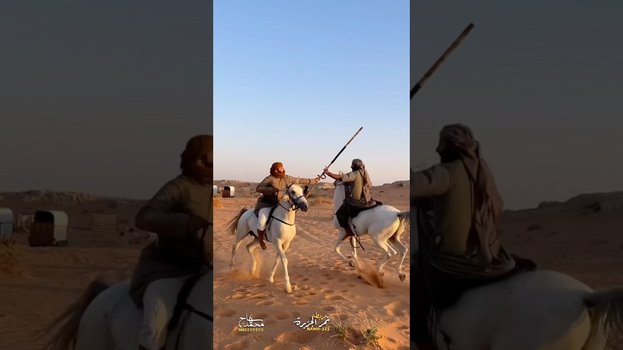 سرعة التقاط الرمح #اكسبلور #horse #مربط_نمر_الجزيرة