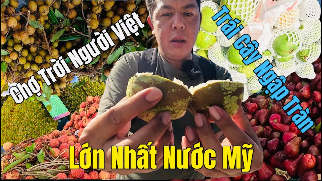Trái Cây Tràn Ngập Khu Chợ Trời Của Người Việt Nổi Tiếng Nhất Florida