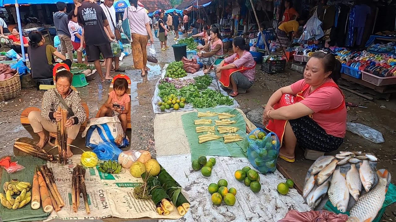 ตลาดเช้าเมืองน้ำบาก สปป.ลาว ก้อยดิบเนื้อควาย เอ๊าะหลาม อาหารลาว หลวงพระบาง