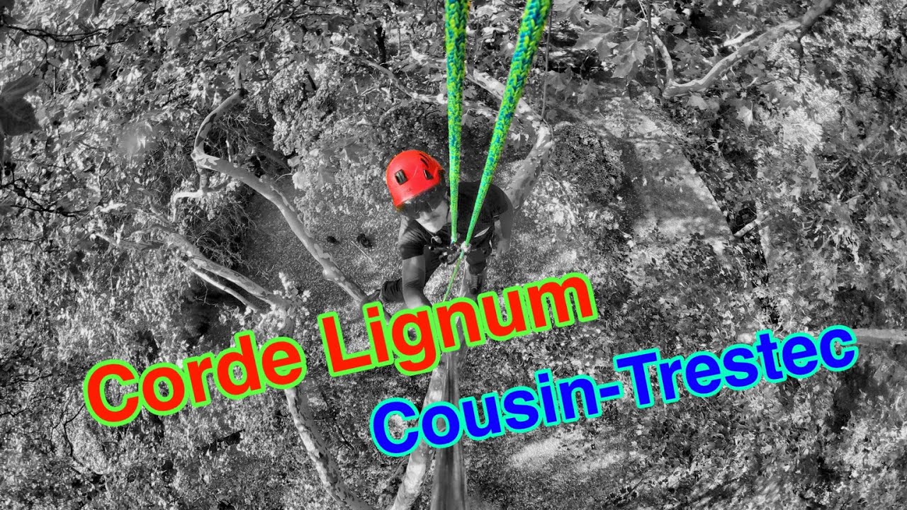 Élagage : LIGNUM 12.5 MM SEMI-STATIC ROPE - COUSIN-TRESTEC
