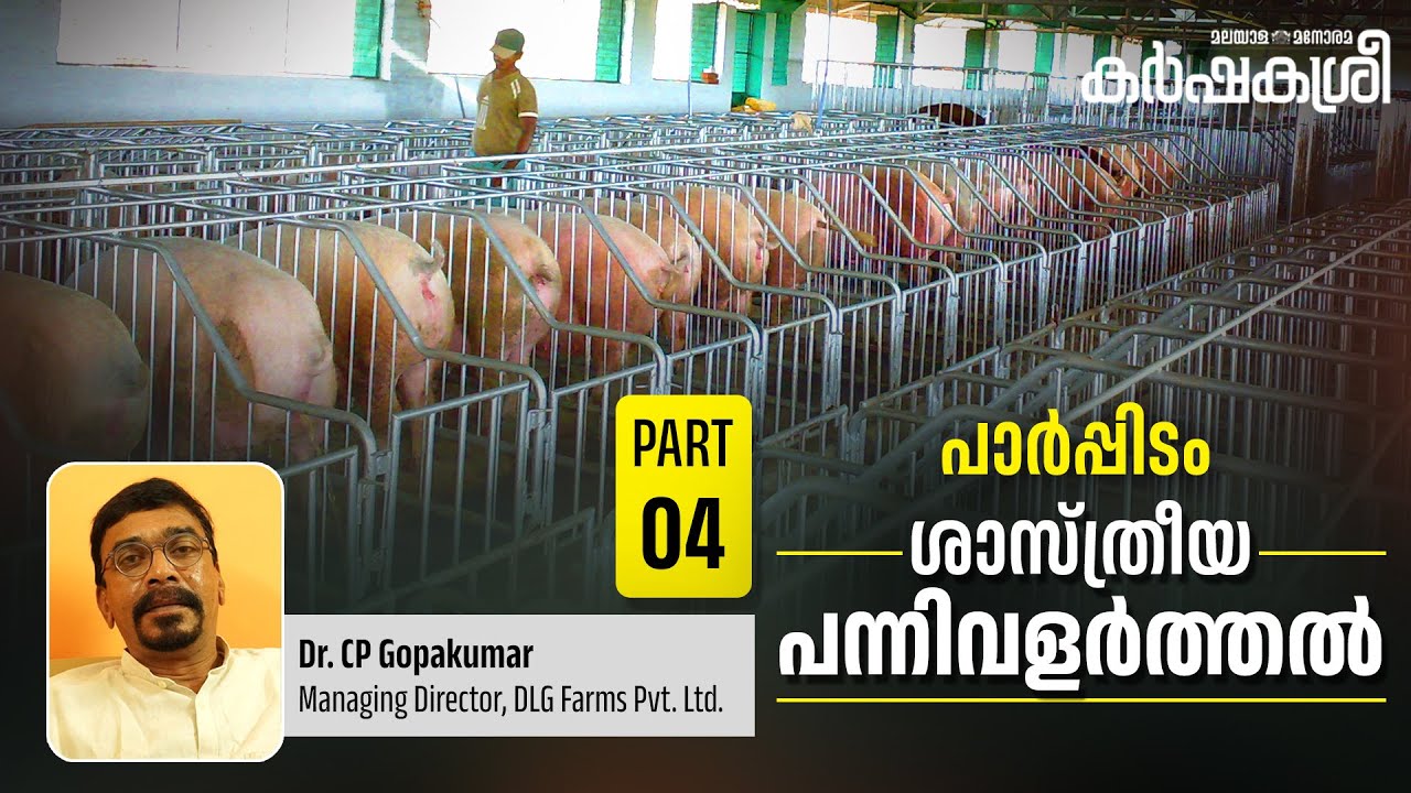 ശാസ്ത്രീയ പന്നിവളർത്തൽ | Part - 4 | പാർപ്പിടം (Housing) | Karshakasree | Pig Farming | Modern Farm