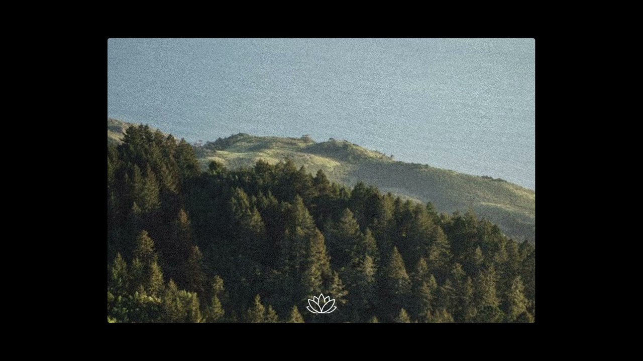 Sad Folk x Acoustic Guitar Type Beat - “The Last Time”