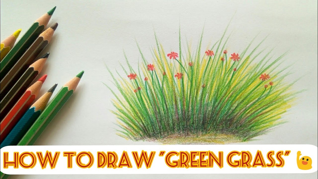 Draw grass the easy way with colour pencils| kids and beginners|step by step| #FabArtistMe
