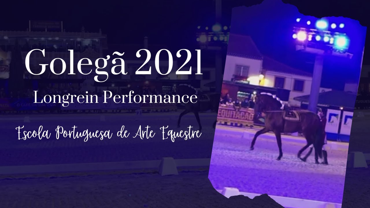Longrein Performance from the Escola Portuguesa de Arte Equestre during Golegã 2021