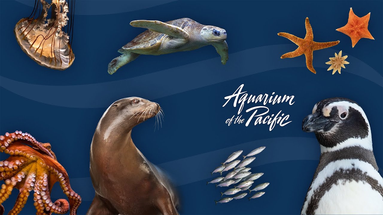 Moving and Grooving (Gr K-5)