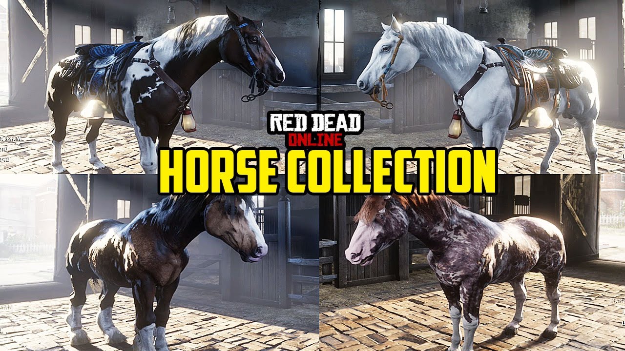 EPIC HORSE COLLECTION l Red Dead Online