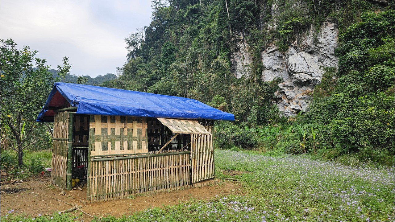 260 days to build a new home in the wilderness with the help of a kind police officer: a new life