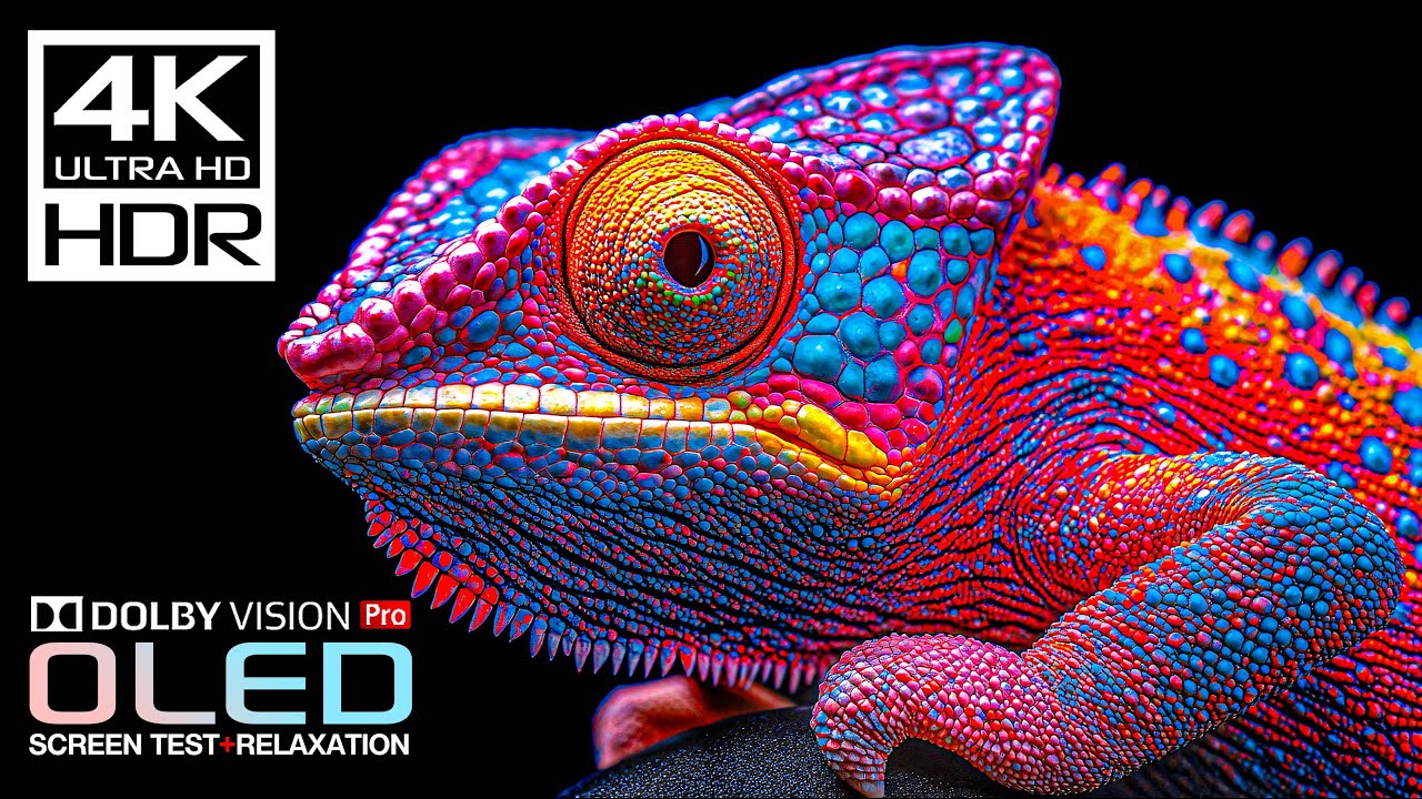 Best 4K Video for Display Test | 4K HDR 60FPS | Dolby Vision (8K/4K TV)