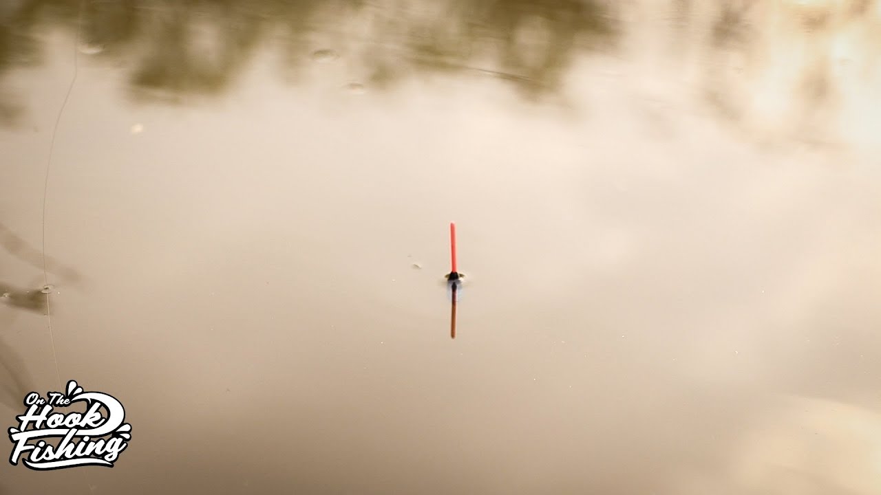 Pole Fishing for CARP - OnTheHook Fishing