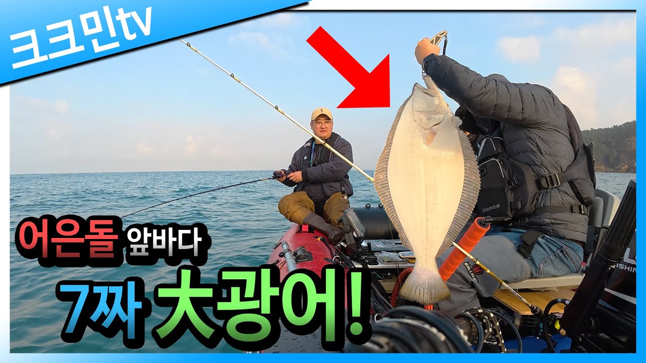 태안 냉장고 포인트에서 꺼낸 71cm 대광어!