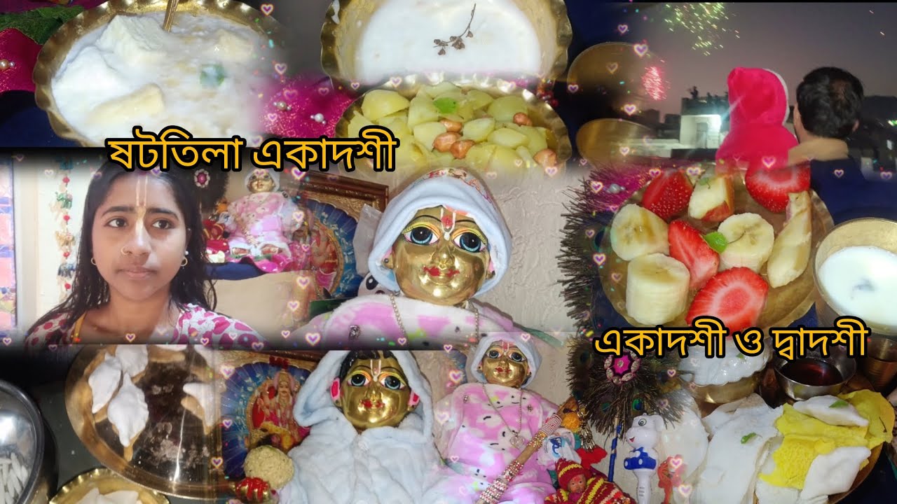 ষটতিলা একাদশী নিয়ম আর পারণ কিভাবে করবো আমরা? #ekadashi @krishnadevjoy @moumitadevjoylifestyle 