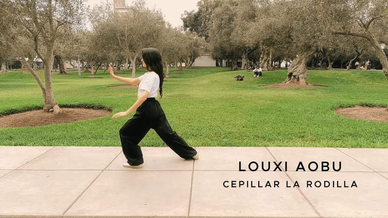 Tai Chi forma 10 Estilo Yang Nombres de Movimientos