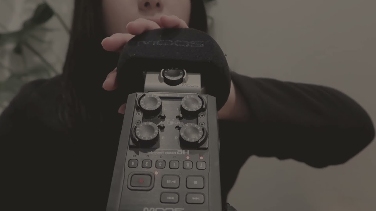 [ASMR] 10분 동안 귀와 뇌를 벅벅 /윈드스크린 스크래칭/Windscreen Scratching