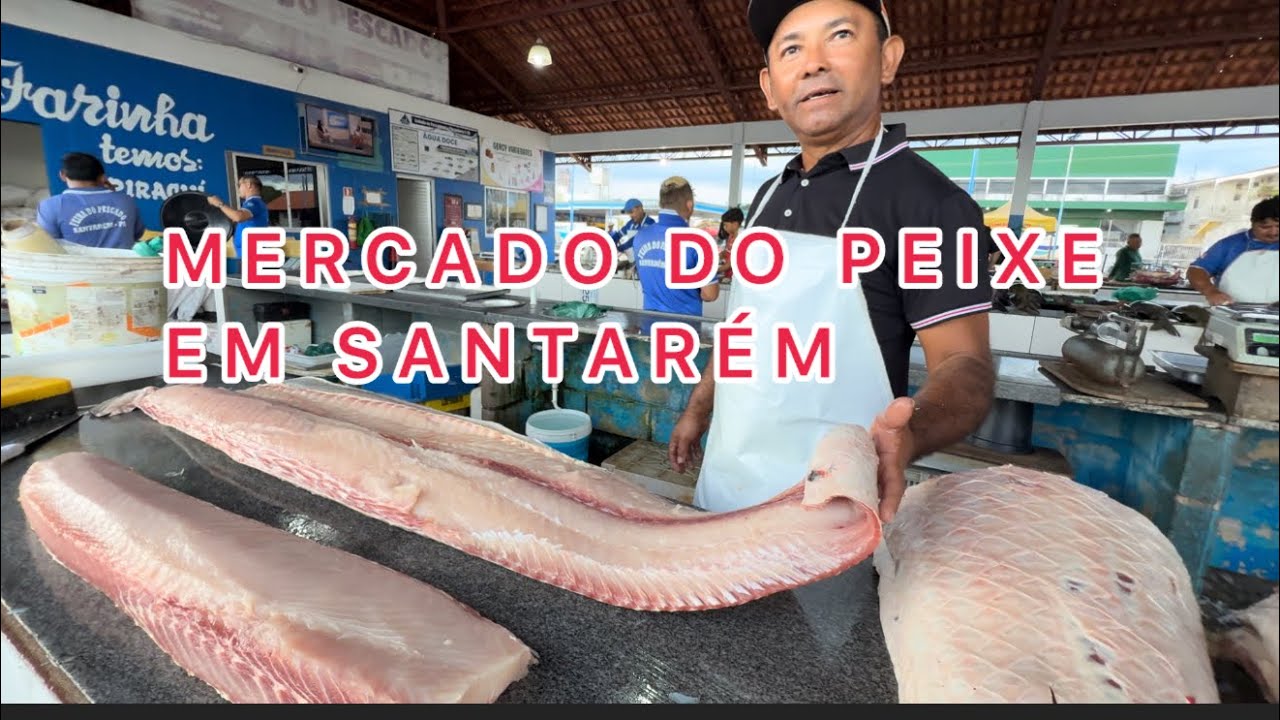 Chegando no mercado do Peixe em Santarém!