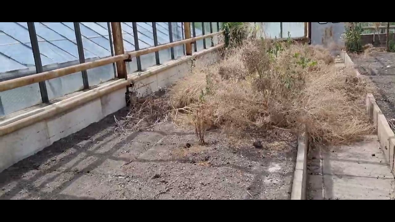 Heute auf die schnelle mal eine Alte Gärtnerei und ein Verlassenes Freibad