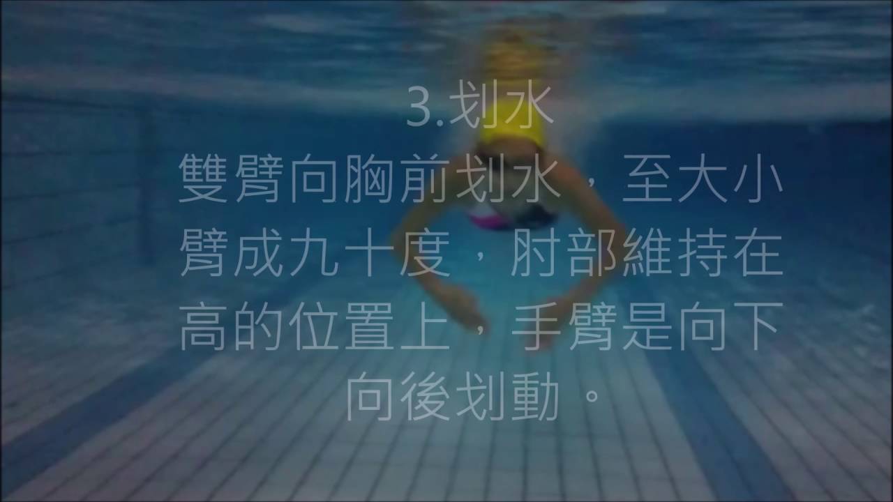 蝶式教學