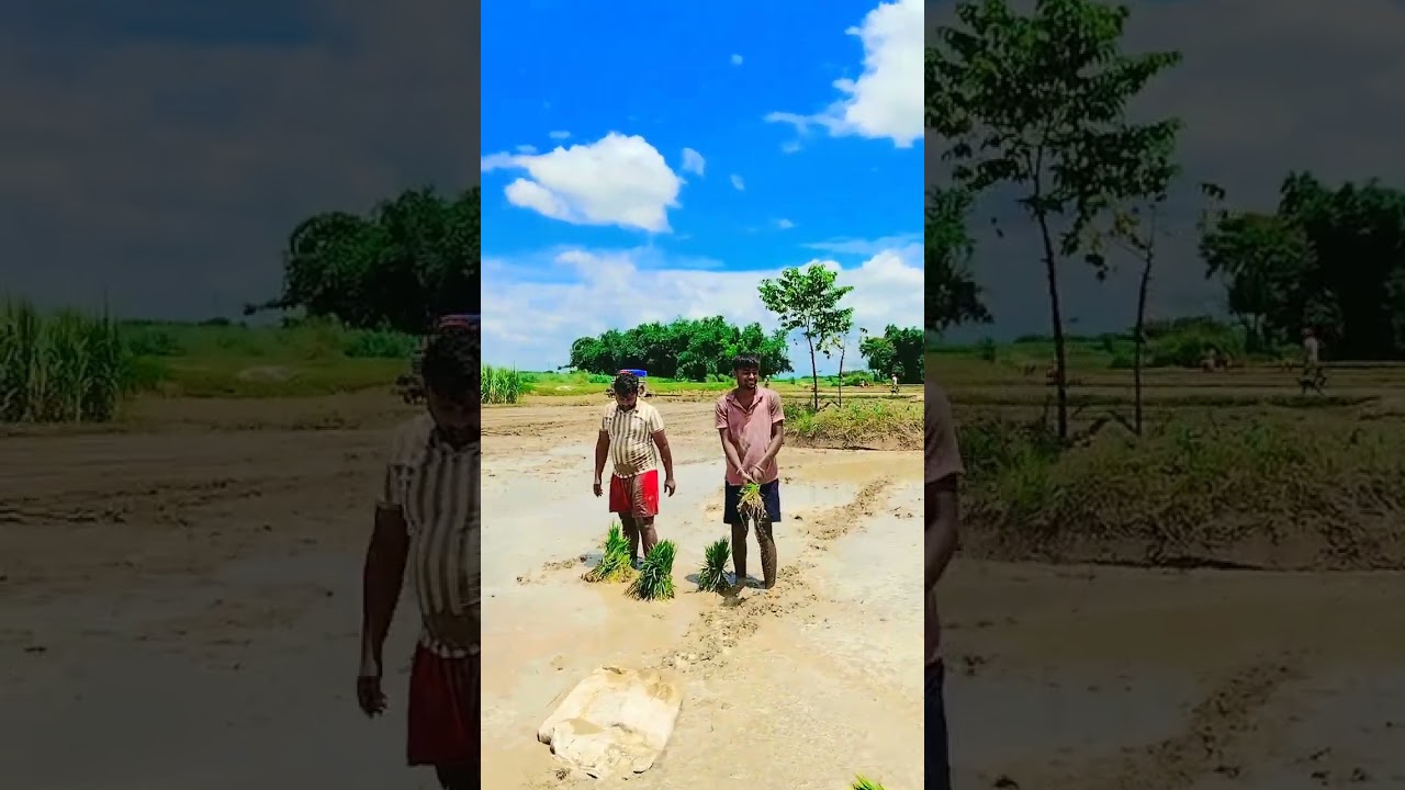 #Kariye#kishani#saiya#durse#nihare#ham#dhul#mati#dehiya#aacrase#jharb#ham#