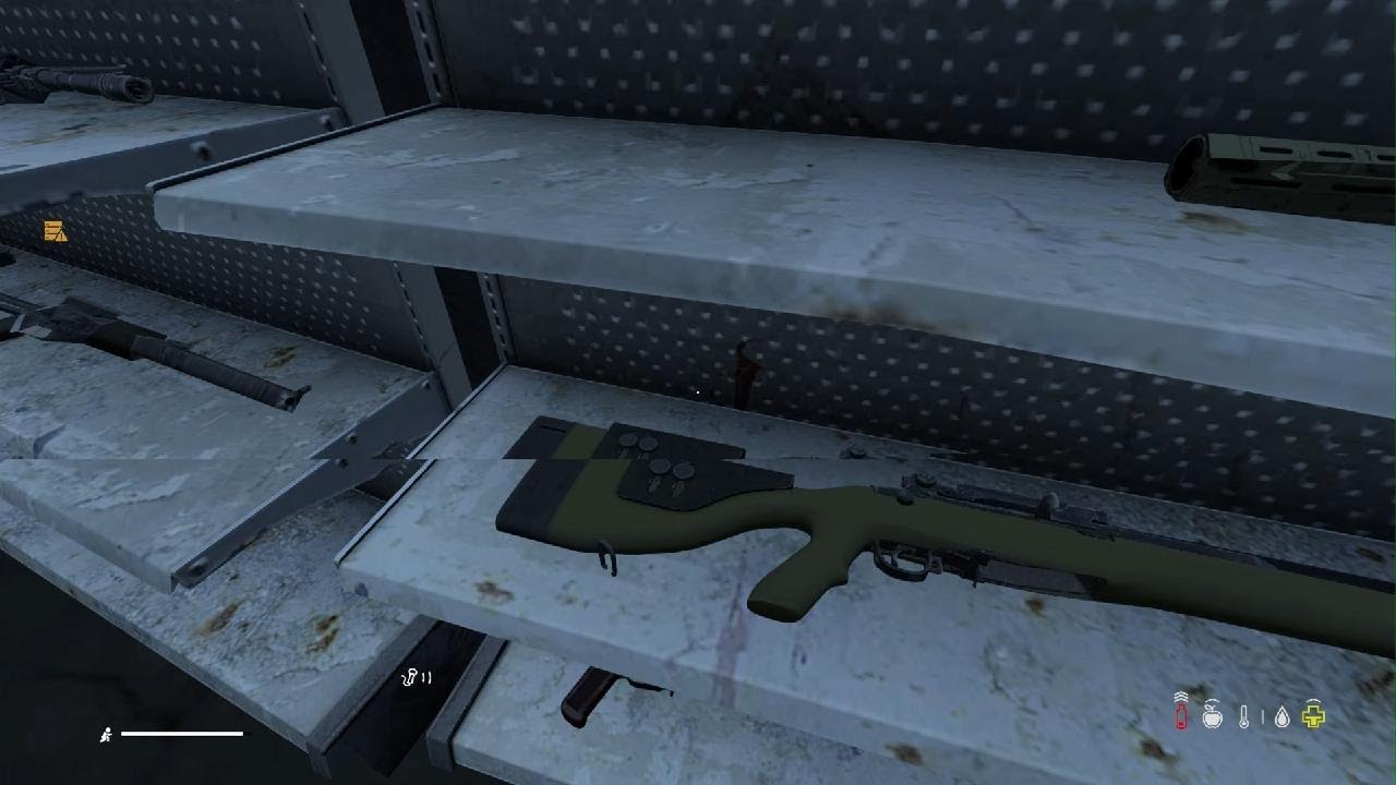 DayZ_20260212182328
