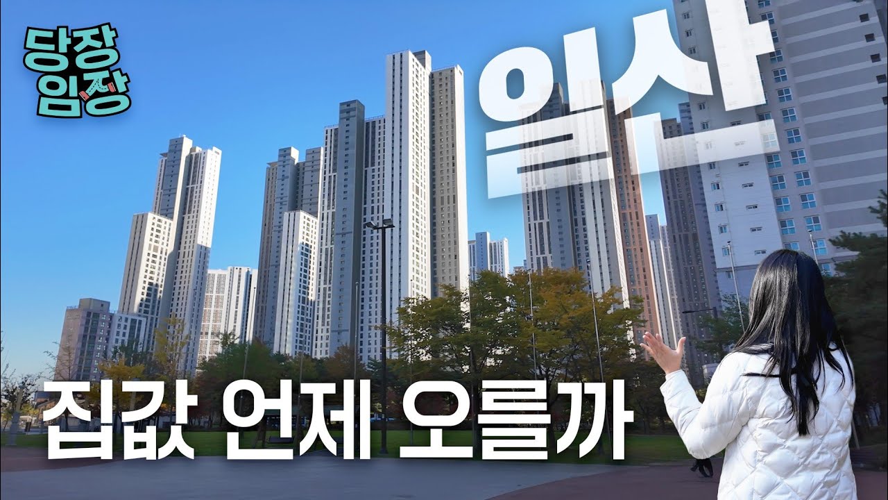일산이 부활하려면 꼭 필요한 그것 | 당장! 임장
