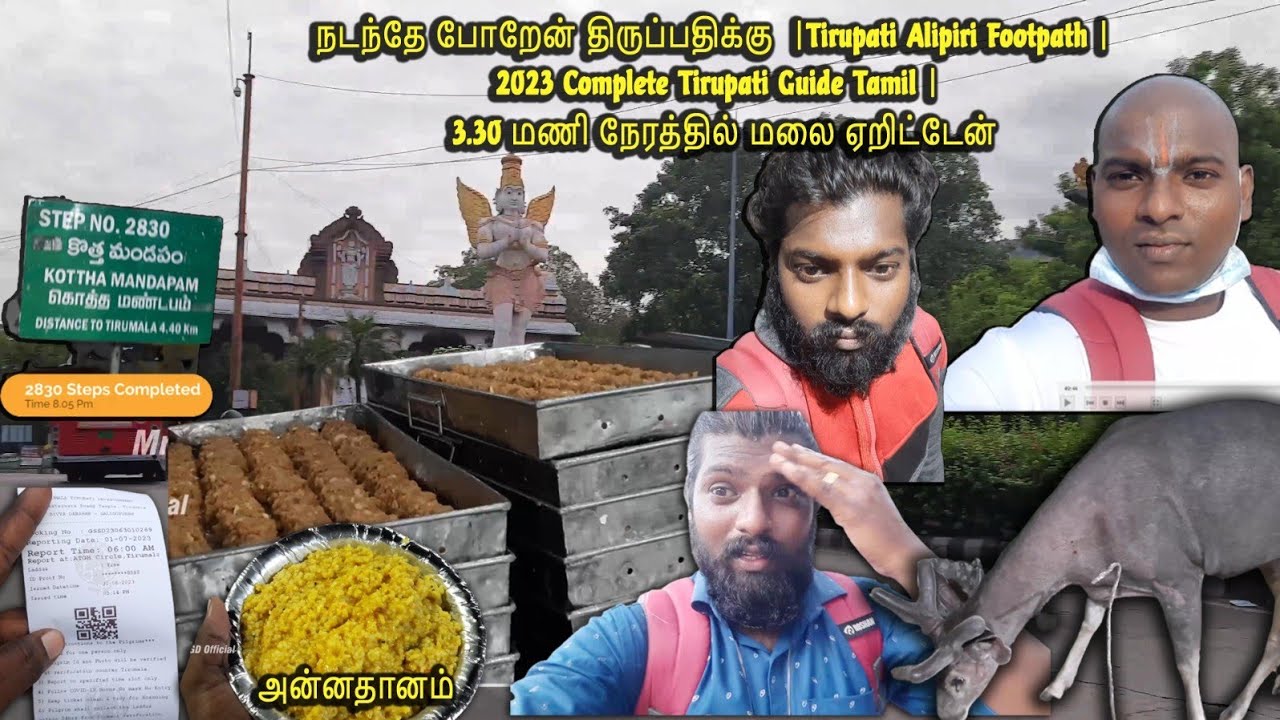 நடந்தே போறேன் திருப்பதிக்கு  |Tirupati Alipiri Footpath | 2023 Complete Tirupati Guide Tamil |