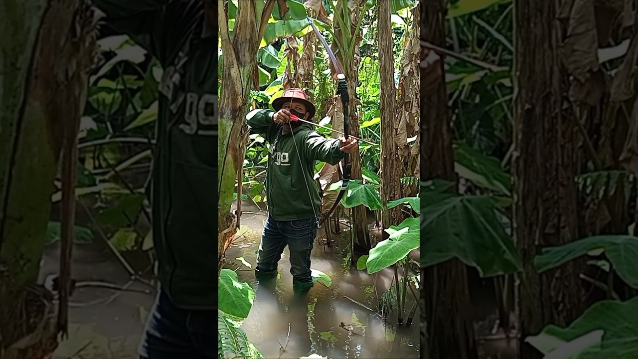 Hunting Big Fish With Bamboo Arrows  