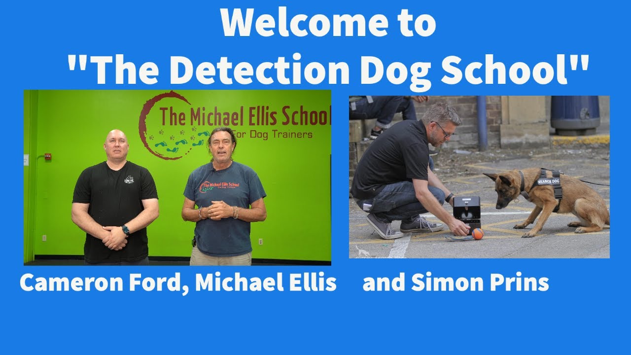 The Detection Dog School: Ford K9, Michael Ellis School and Simon Prins ACT
