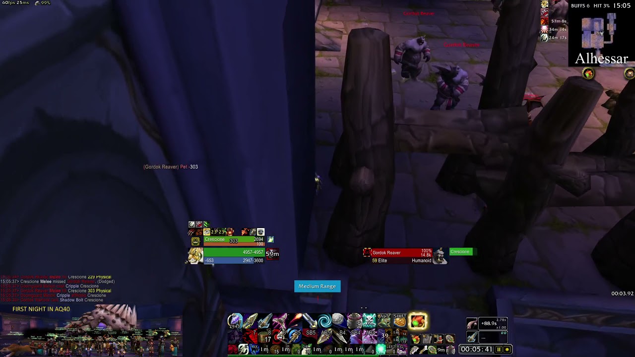 Dire Maul Tribute: Super safe Hunter Solo run (12min)
