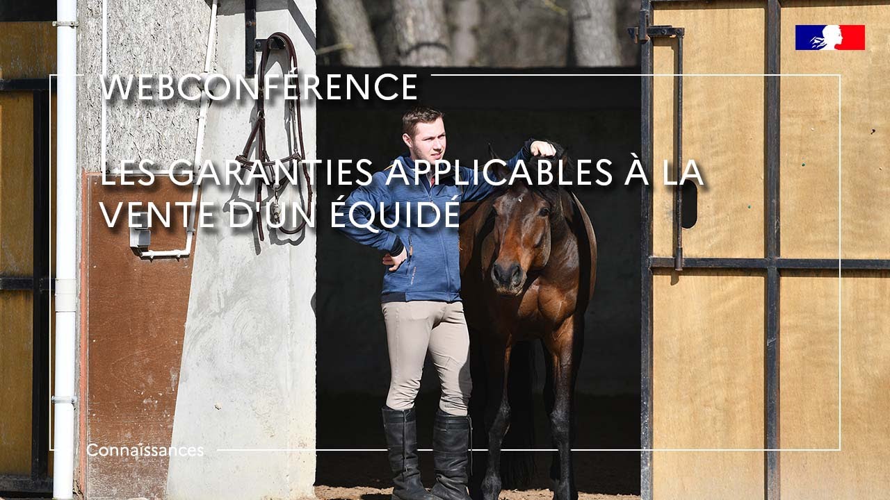Les garanties applicables à la vente d’un équidé - Laurie Bessette