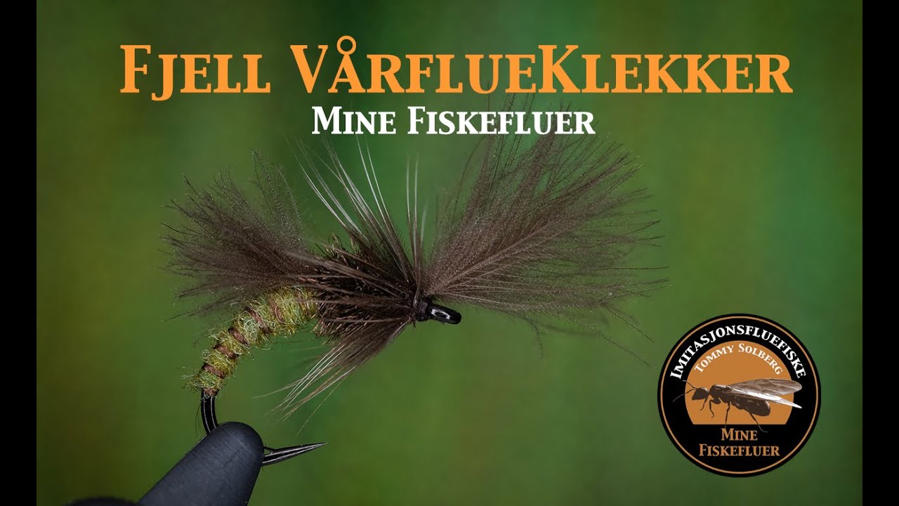 Fjelle Vårflueklekker. Mine fiskefluer og imitasjonsfluefiske. Ei flue som fanger ørret