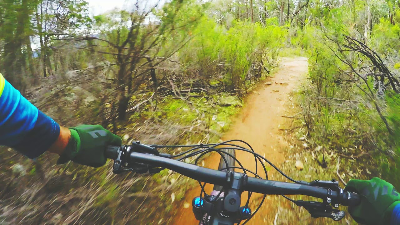 Woolshed Down Hill - Beechworth MTB Park