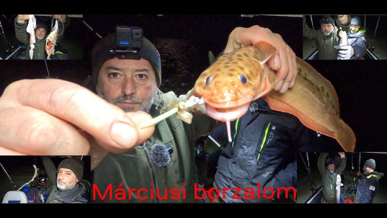 Újra itt van, újra itt van, újra itt van-és nagyon sok van!!!