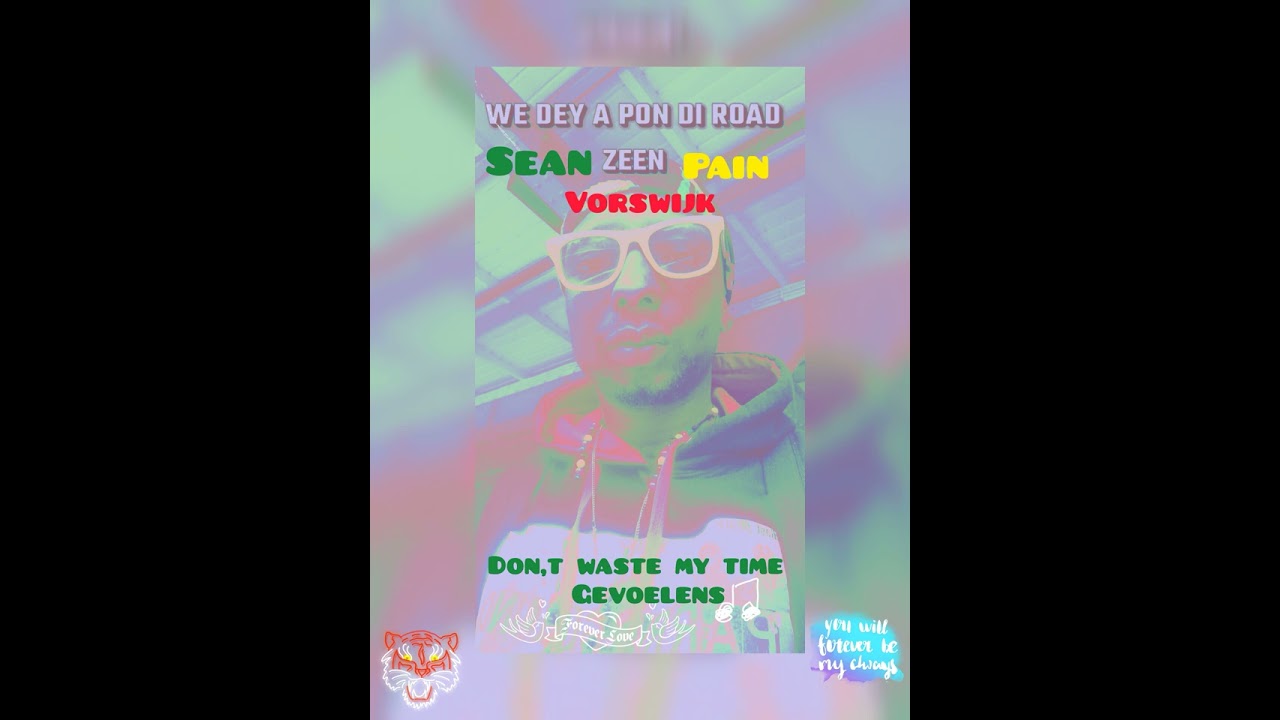 The Official Album (Don,t Waste My Time Gevoelens) - Sean Pain Vorswijk
